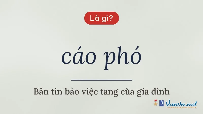 cáo phó là gì