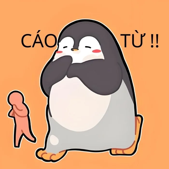 cáo từ meme