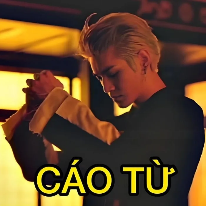 cáo từ meme