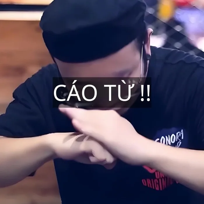 cáo từ meme