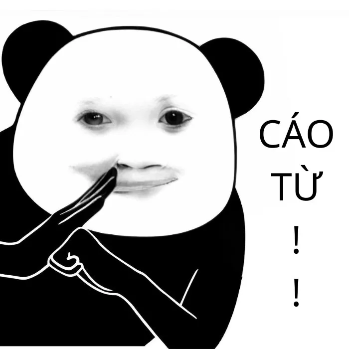 cáo từ meme