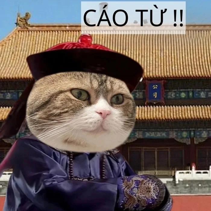 cáo từ meme