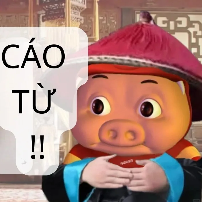 cáo từ meme