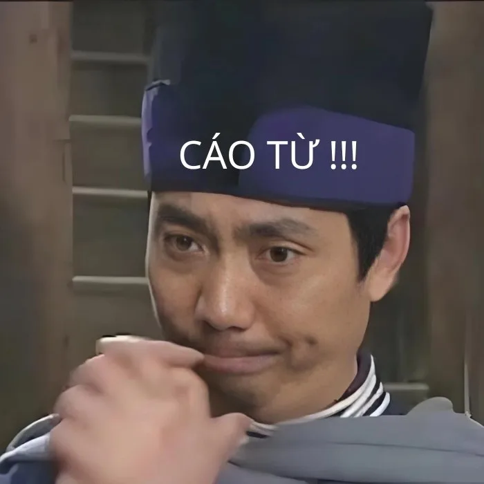 cáo từ meme