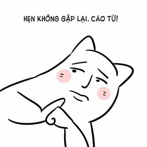 cáo từ meme