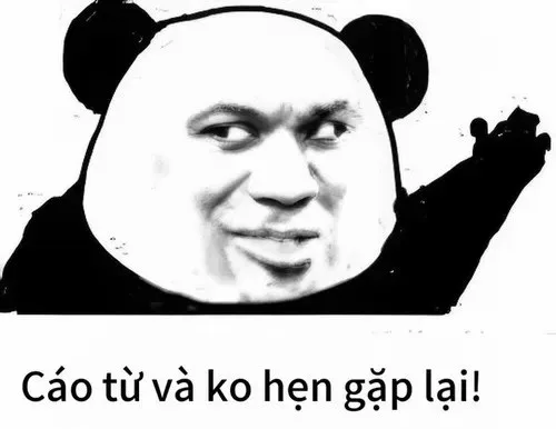 cáo từ meme