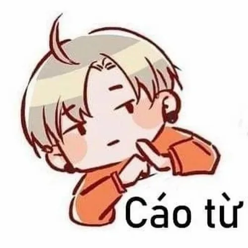 cáo từ meme