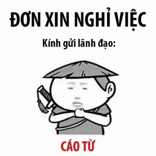 cáo từ meme