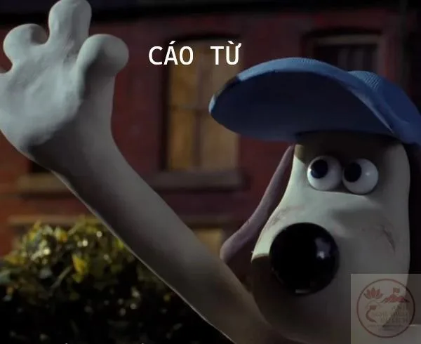 cáo từ meme