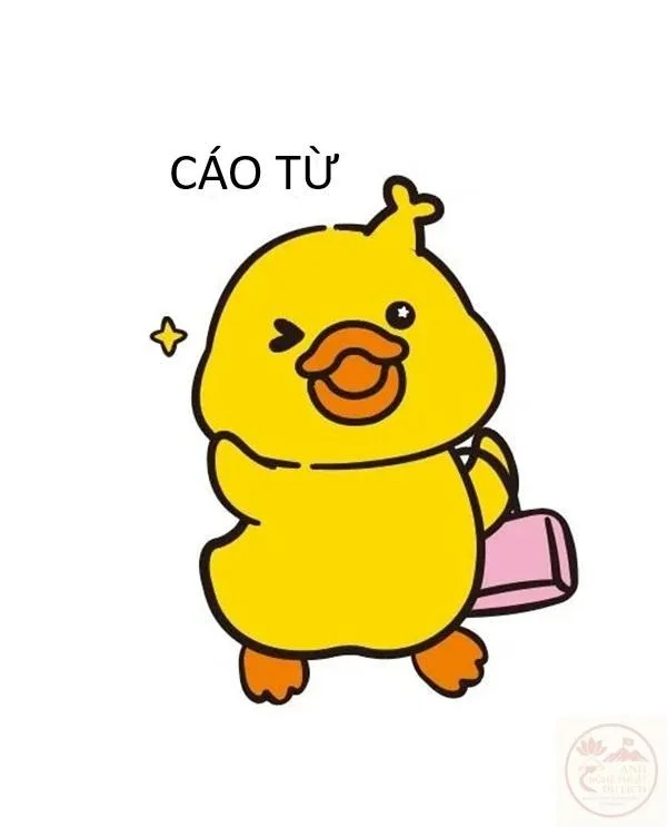 cáo từ meme