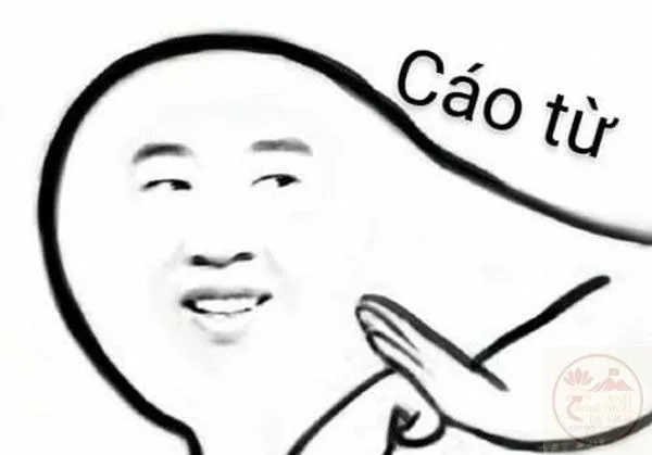 cáo từ meme