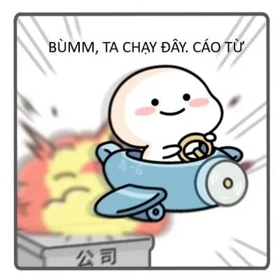 cáo từ meme