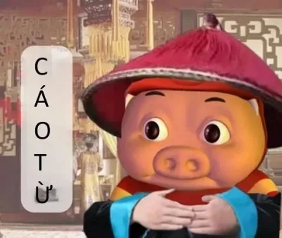 cáo từ meme