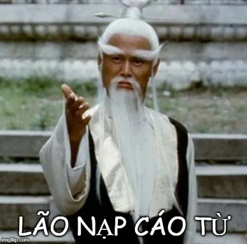 cáo từ meme
