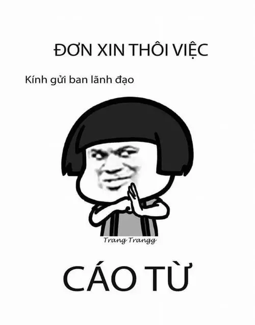 cáo từ meme