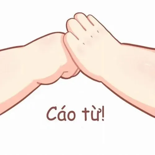 cáo từ meme
