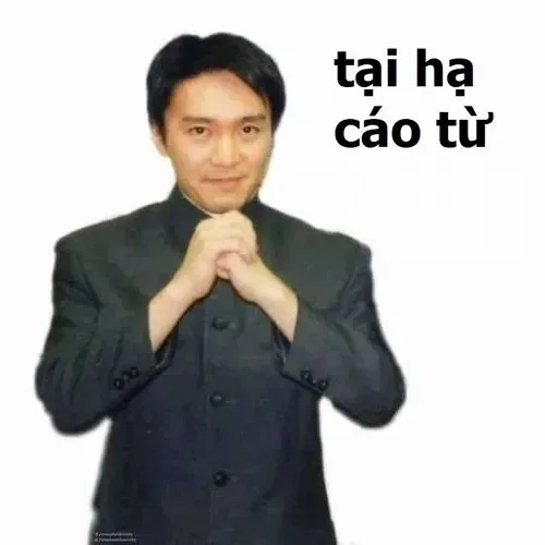 cáo từ meme