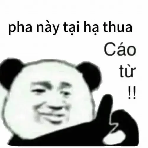 cáo từ meme