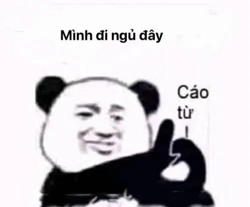 cáo từ meme