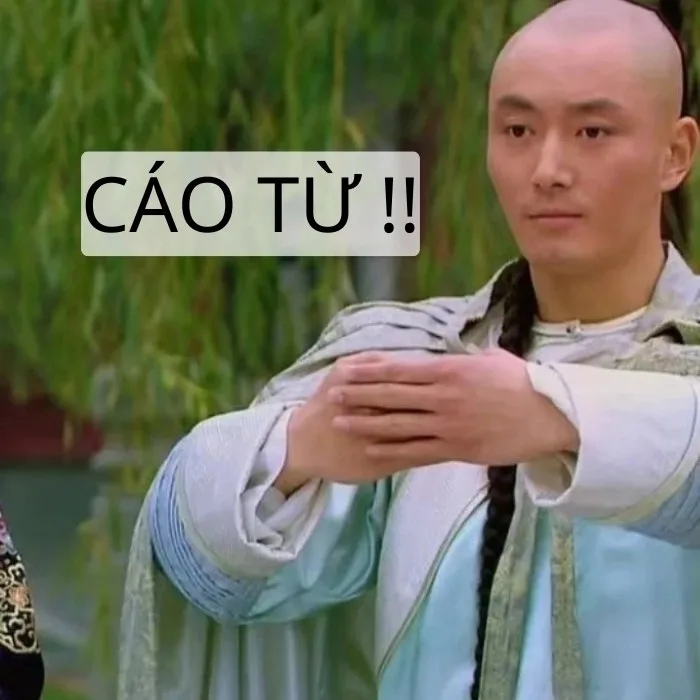 cáo từ meme