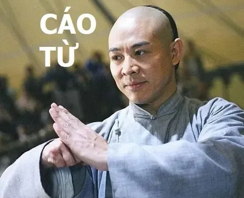 cáo từ meme