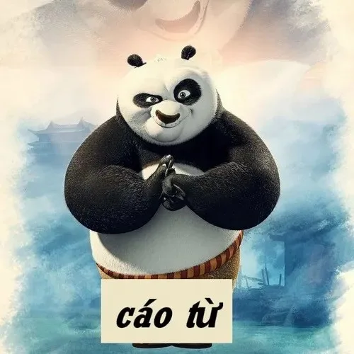 cáo từ meme