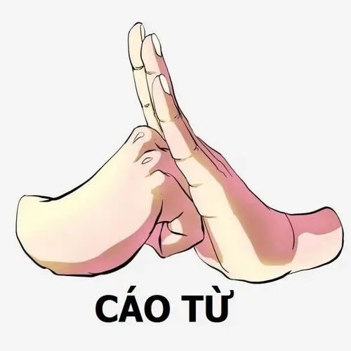 cáo từ meme