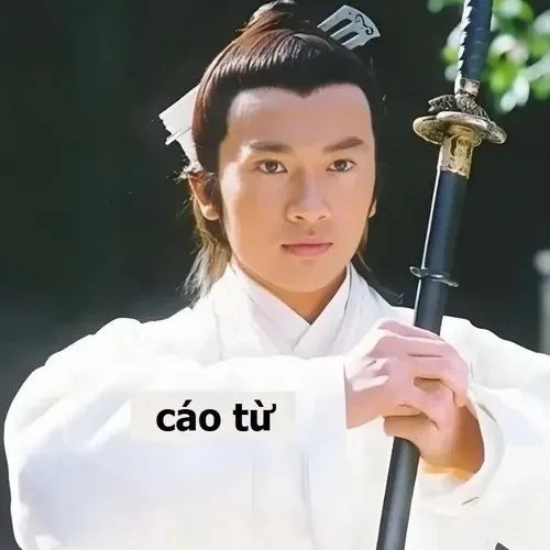 cáo từ meme
