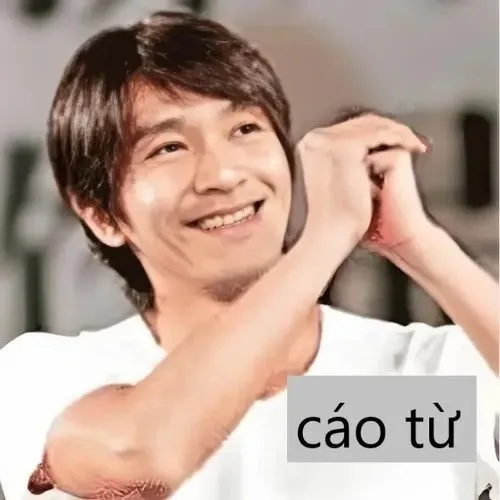 cáo từ meme