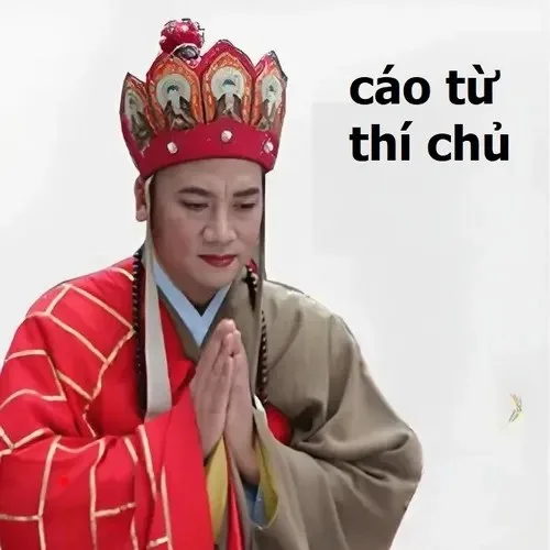 cáo từ meme