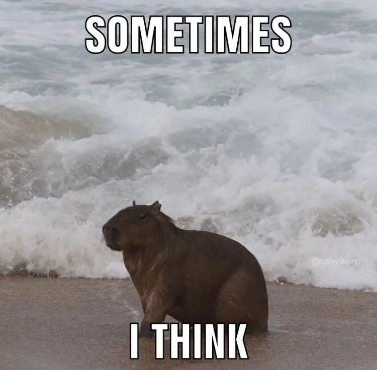 ảnh capybara vô tri