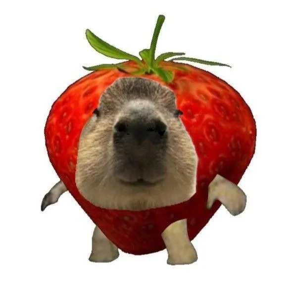 ảnh capybara vô tri