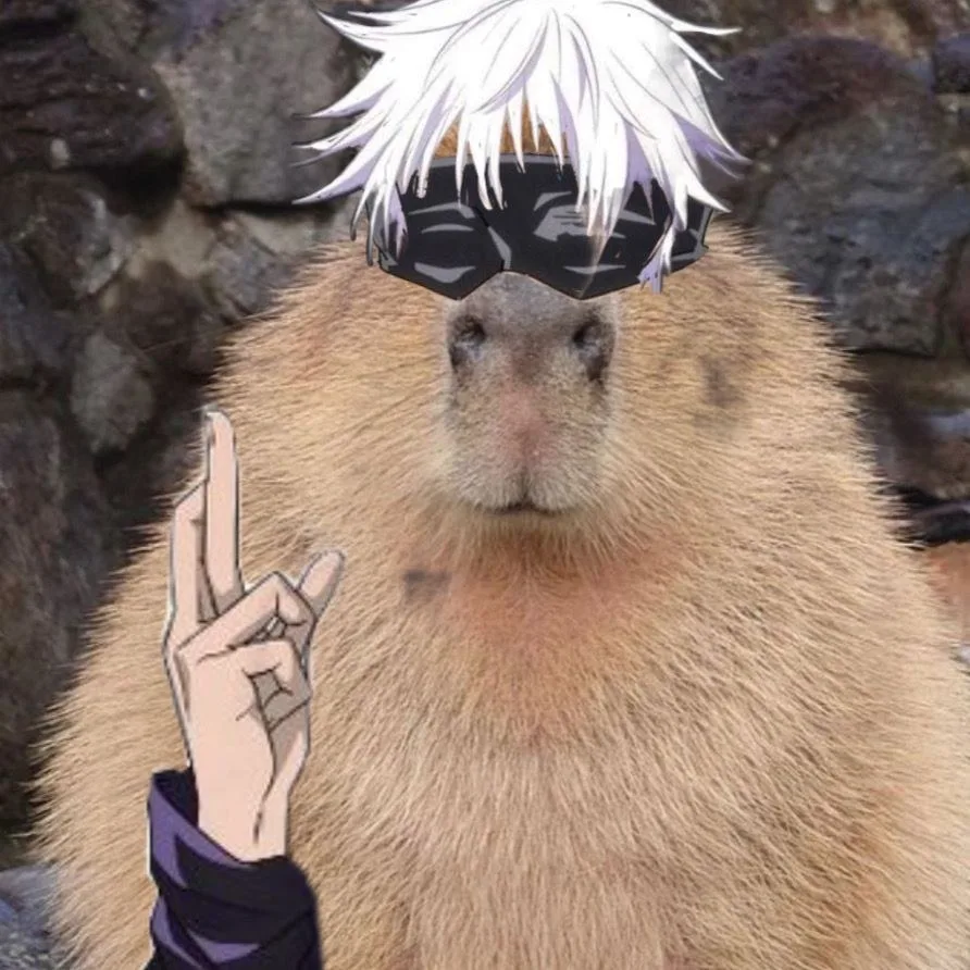 meme capybara