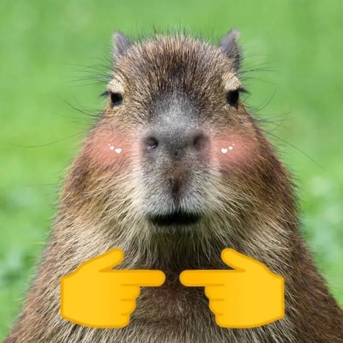 ảnh capybara vô tri