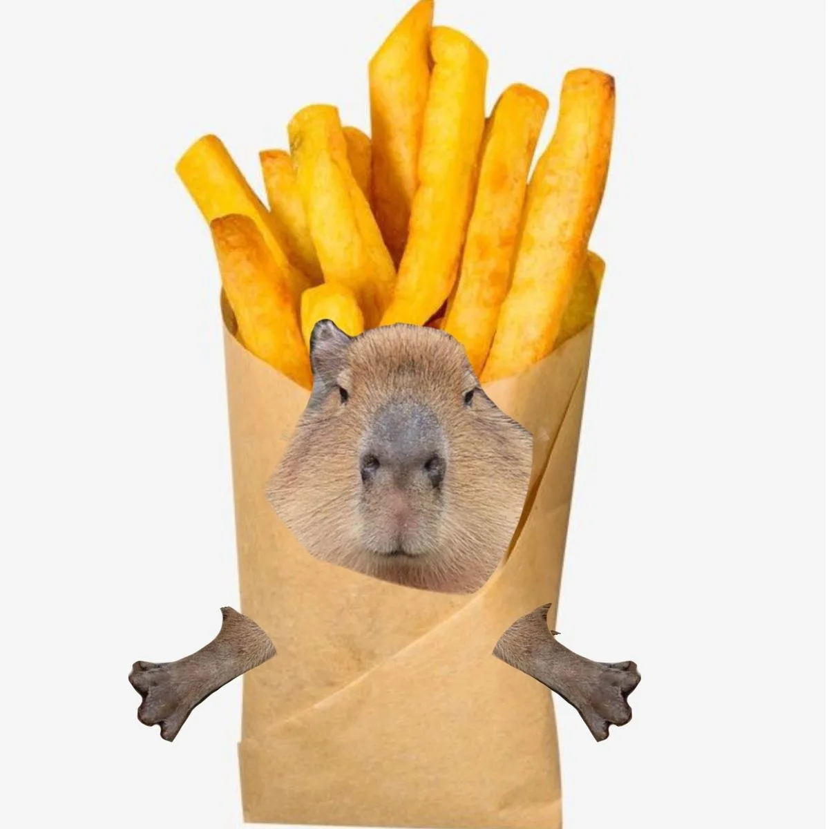 ảnh capybara vô tri