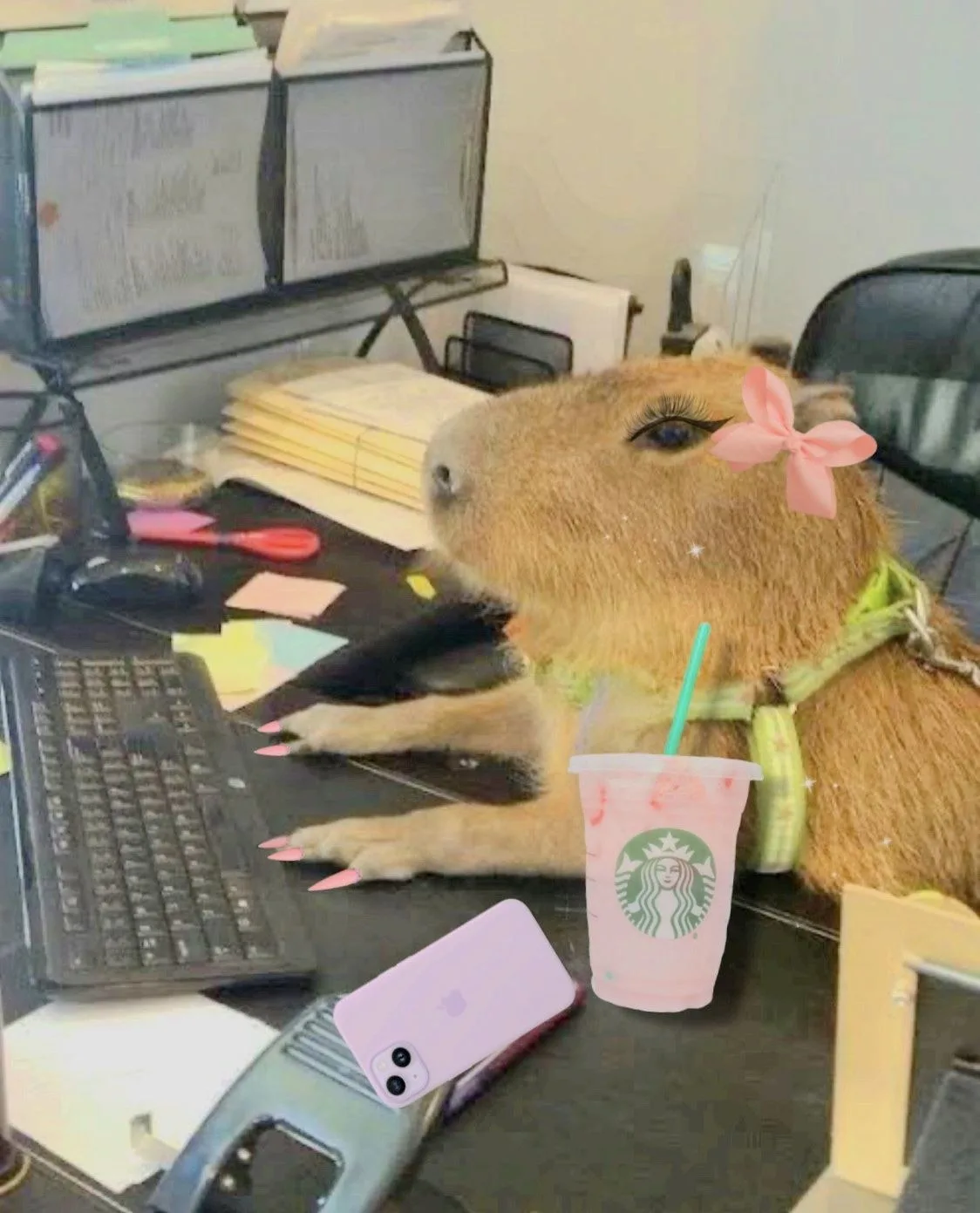 meme capybara