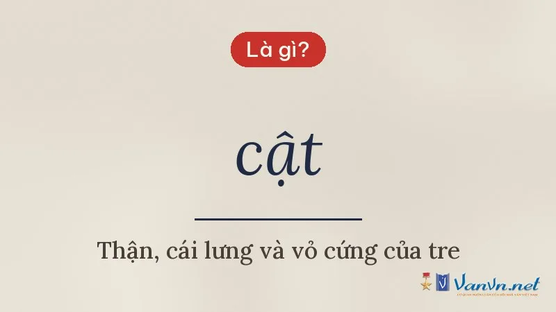 cật là gì