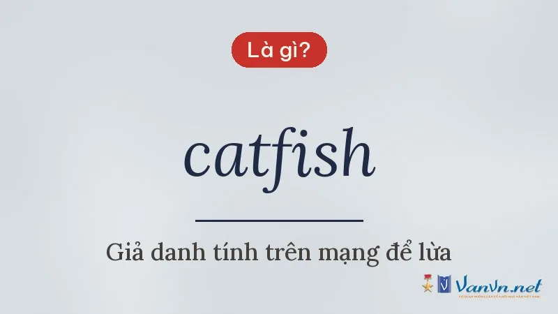 catfish là gì