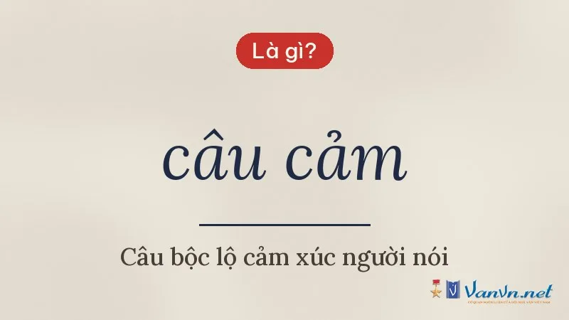 câu cảm là gì