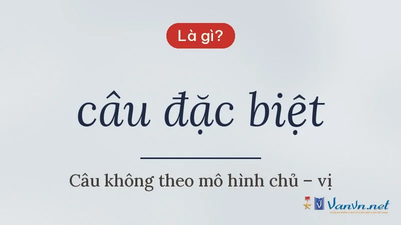 câu đặc biệt là gì