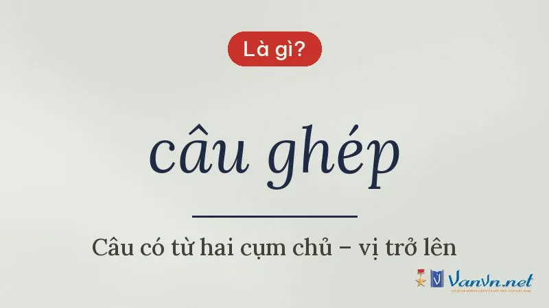 câu ghép là gì