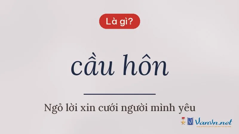 cầu hôn là gì