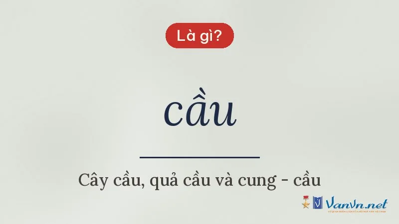 cầu là gì