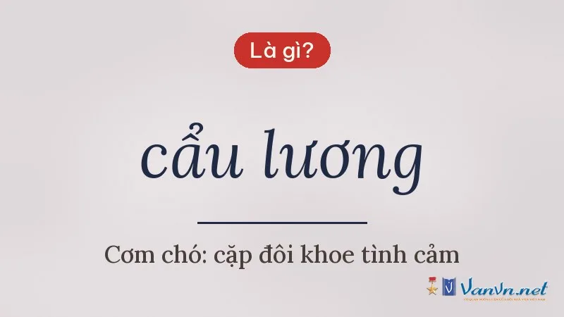 cẩu lương là gì
