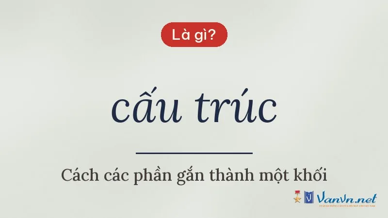 cấu trúc là gì