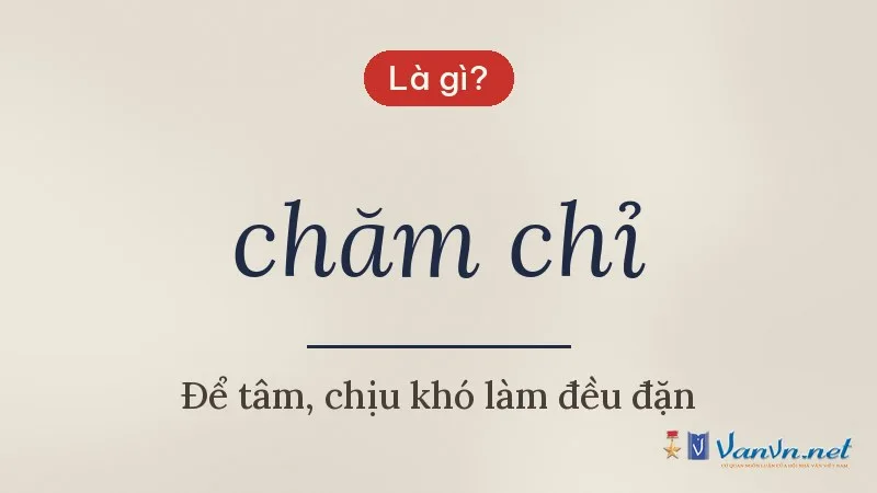 chăm chỉ là gì
