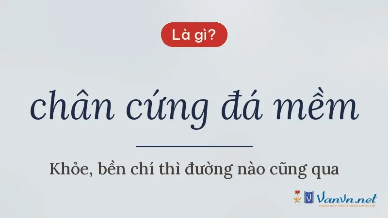 chân cứng đá mềm là gì