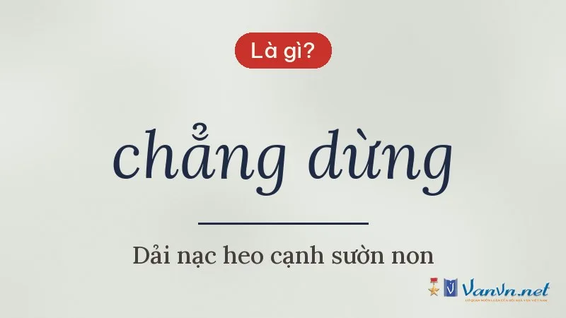 chẳng dừng là gì