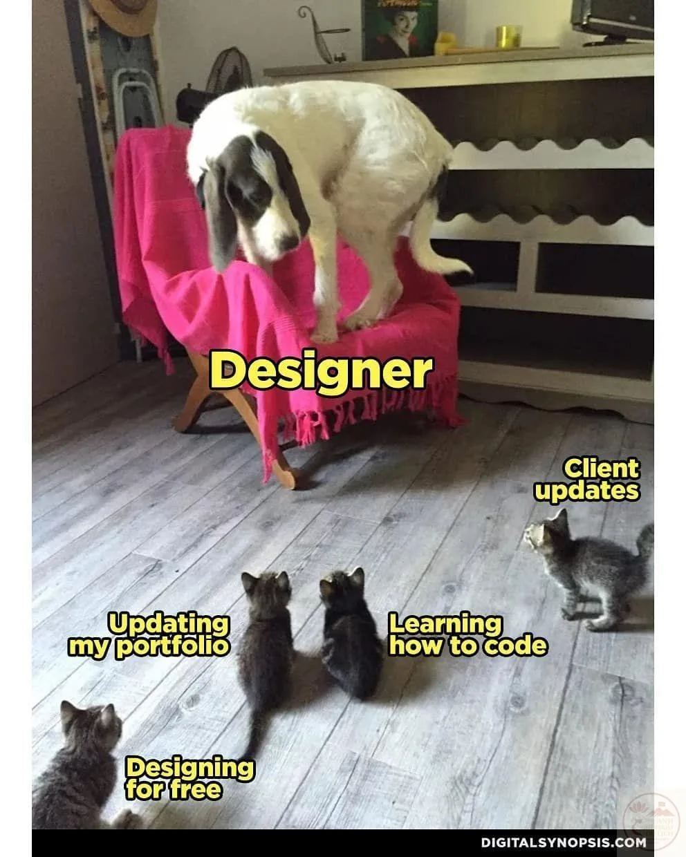 designer meme