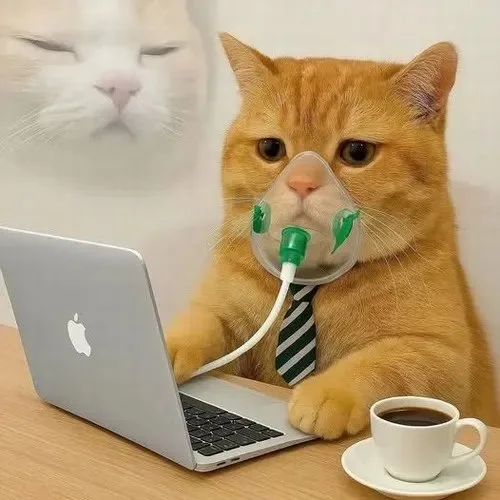 chạy deadline meme